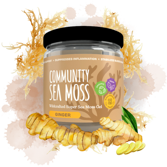 Wildcrafted Super Sea Moss Gel - Ginger